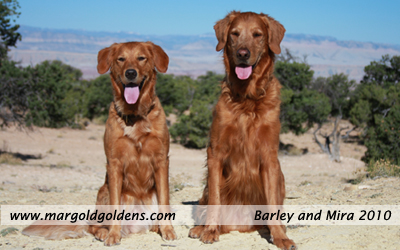 Barley and Mira Utah 2010