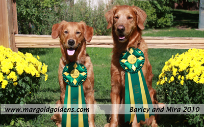 Barley and Mira GRCA National 2010
