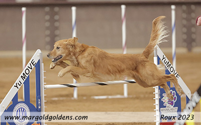 Roux AKC National Agility Championship 2023